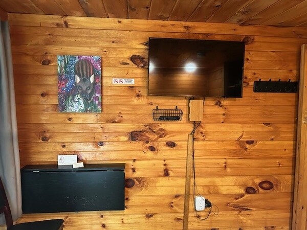 Boars Bunkie Photo 2